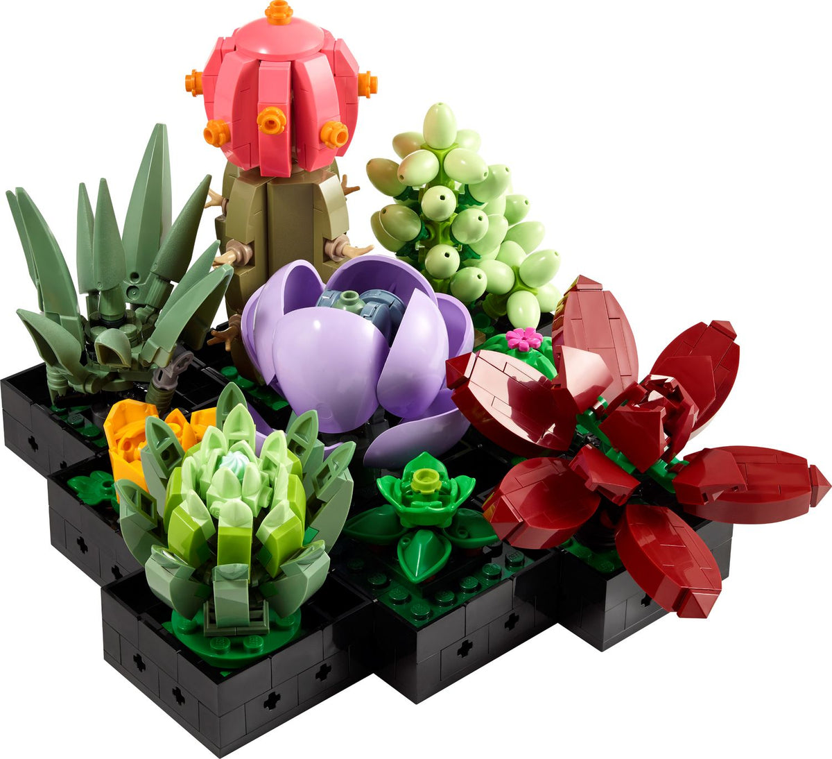 LEGO Succulents 10309